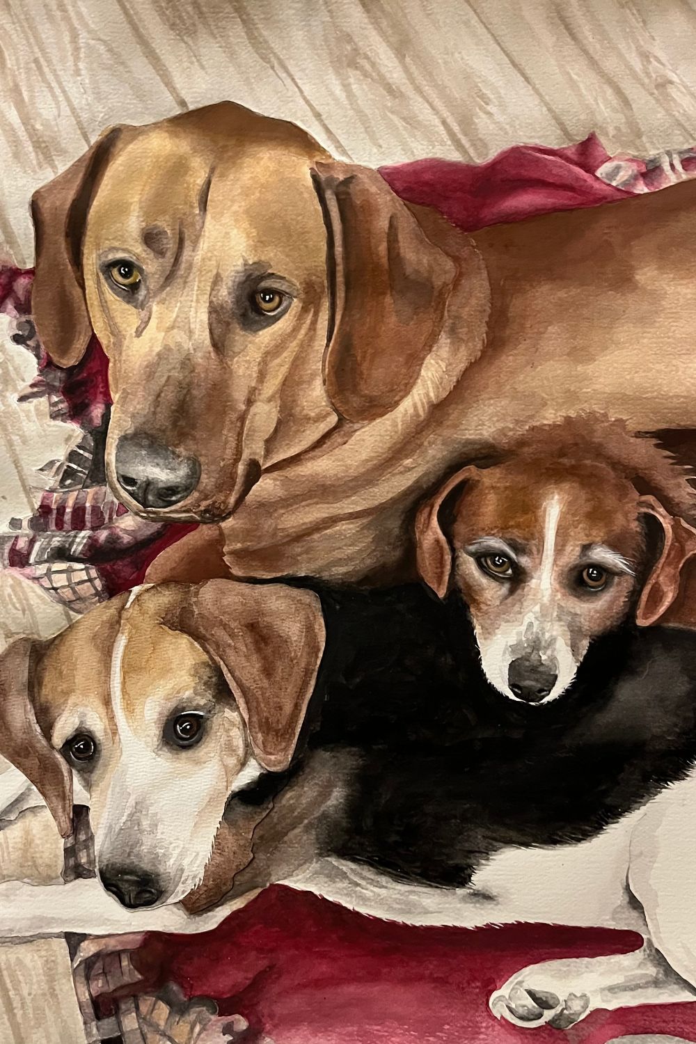 three-dogs-march-2025-portraits