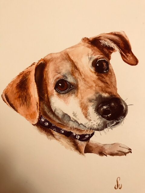 dog-featured-portrait dog-featured-portrait